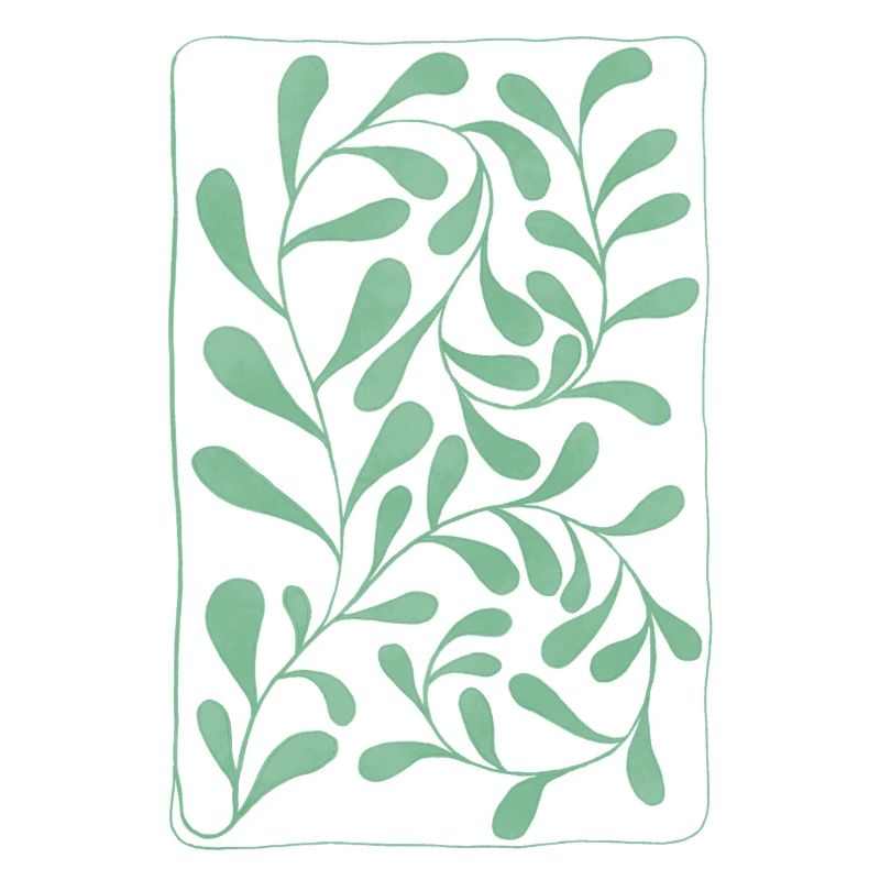 Feuilles d’eucalyptus
