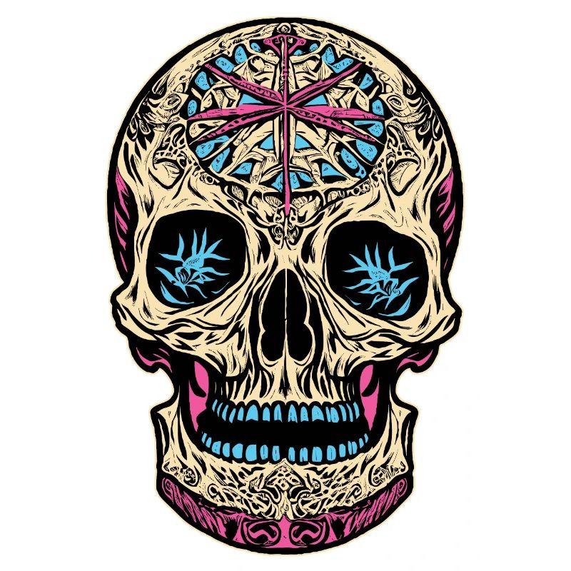 Sugar Skull | Sugar Skull