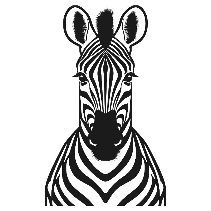 Zebra frontal - Zebra head