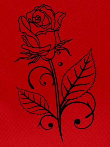 Rose with leaves