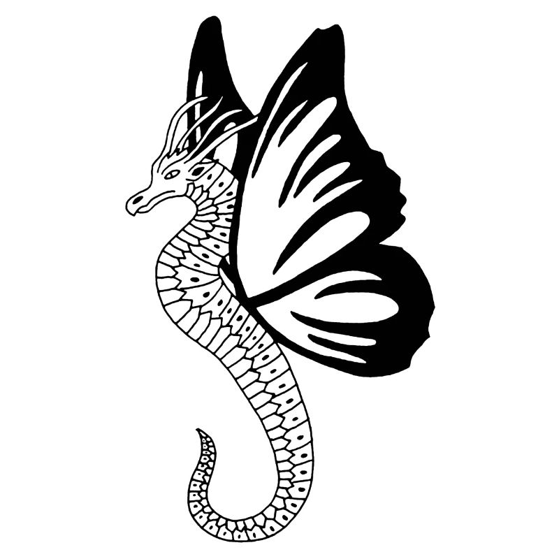 Schwarzer Schmetterlingsdrache