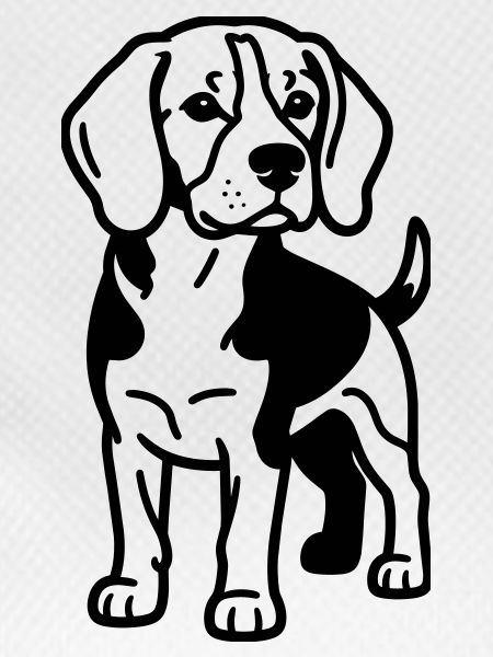Beagle Dog