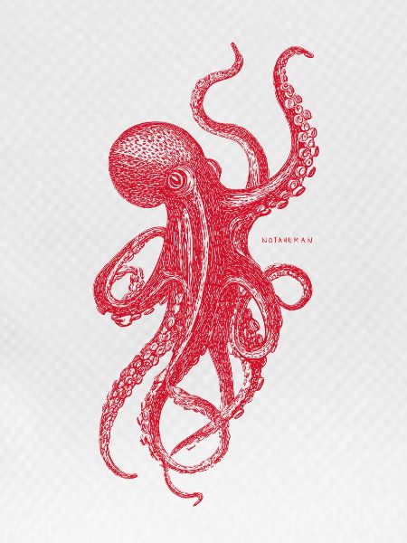 Red Octopus