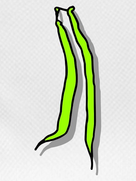 Beans