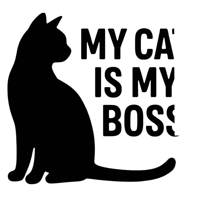 Le chat est le patron