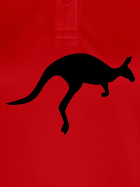 kangaroo