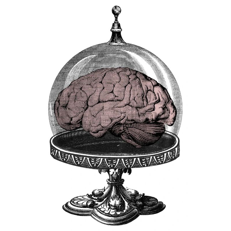 Monster Brain Horror SciFi Design