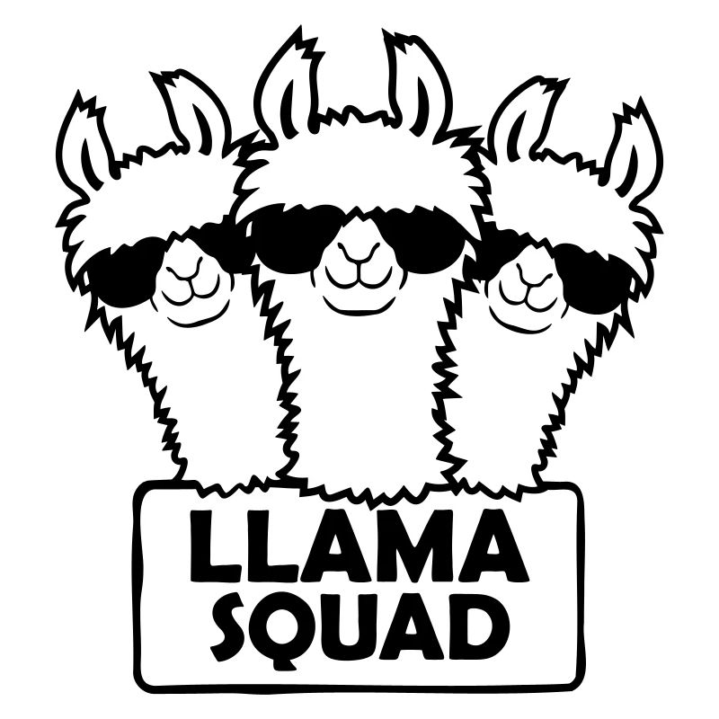 Conception d’équipe Llama Squad