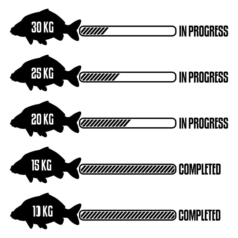 Big Carp en cours