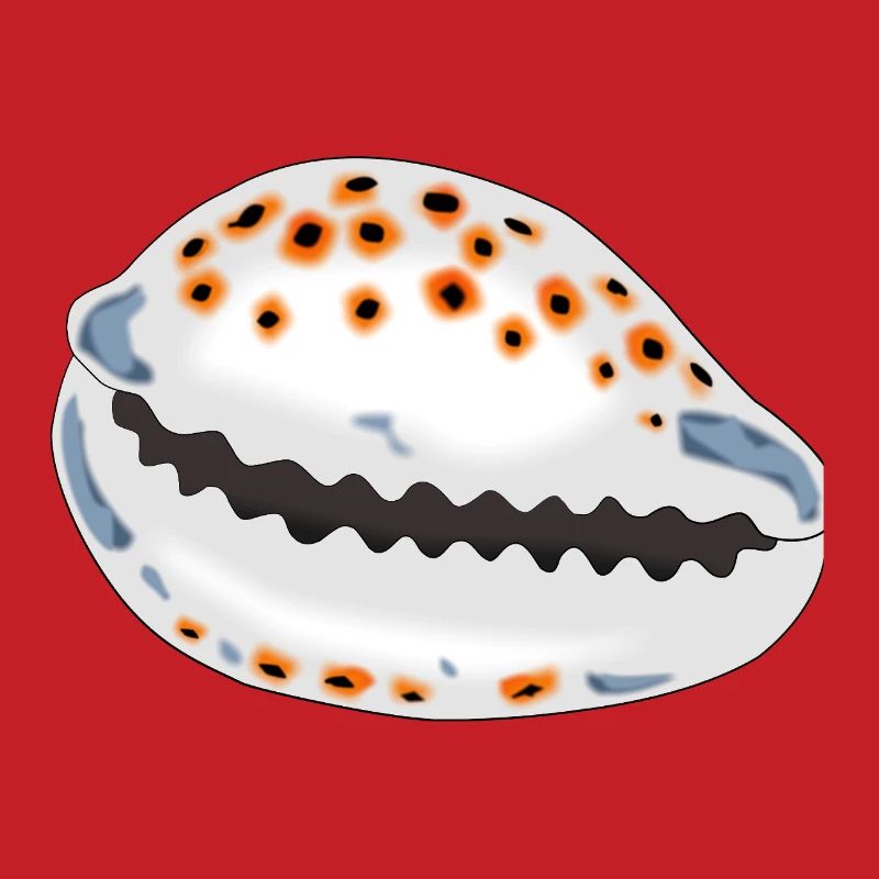 Coquille avec points