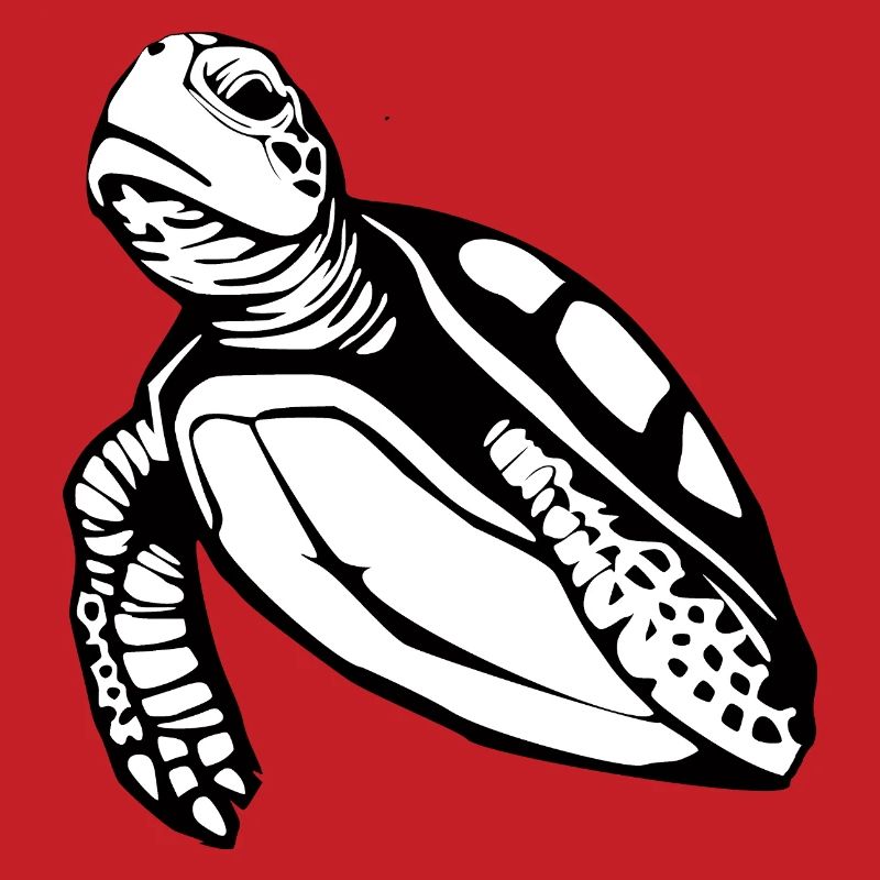 Turtle Turtles T-shirt Gift