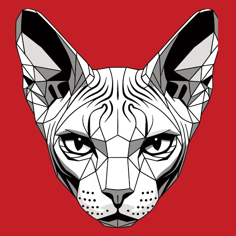 Sphynx Chat Sphynx Chat Chat Canadien Sphinx mignon