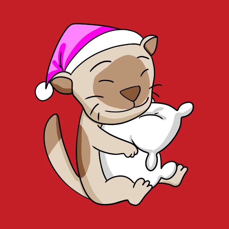 Chat Cat Race Chat Birman