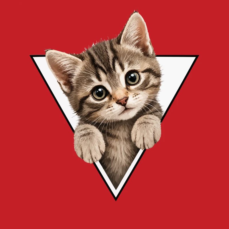 Kitten in the triangle
