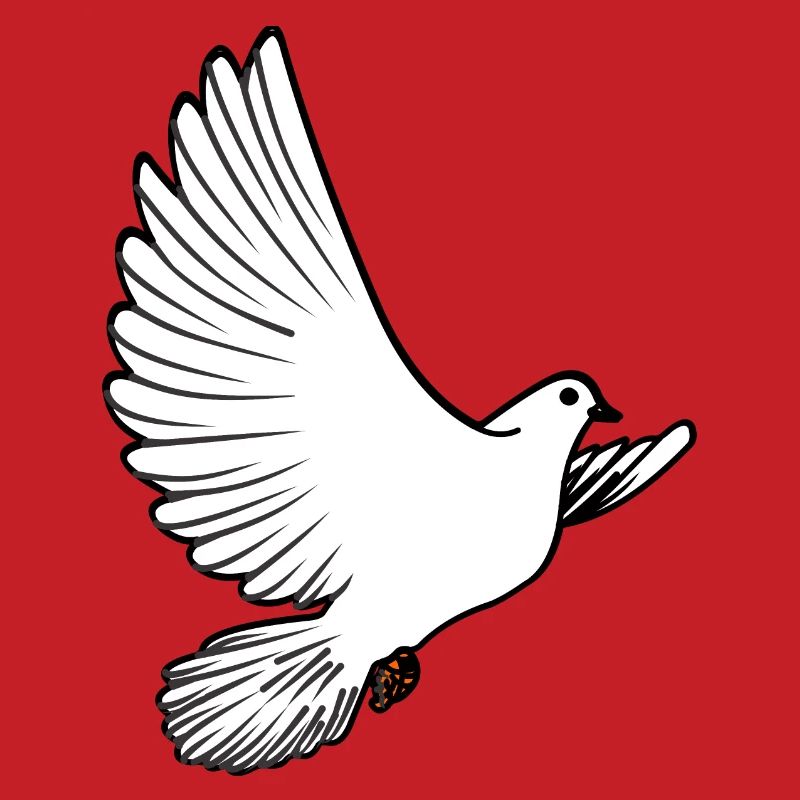 Weiße Taubenbrieftaube Ziertaube oder Friedenstaube