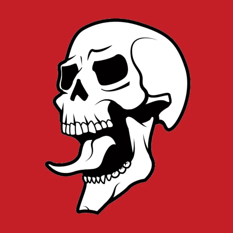 Skull skull