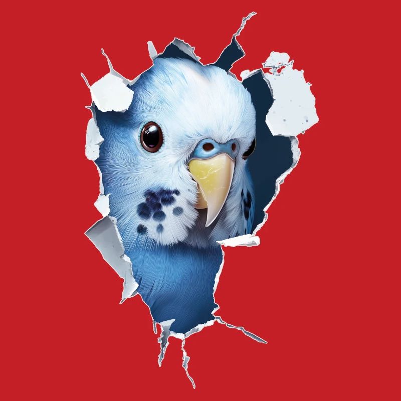 Budgerigar