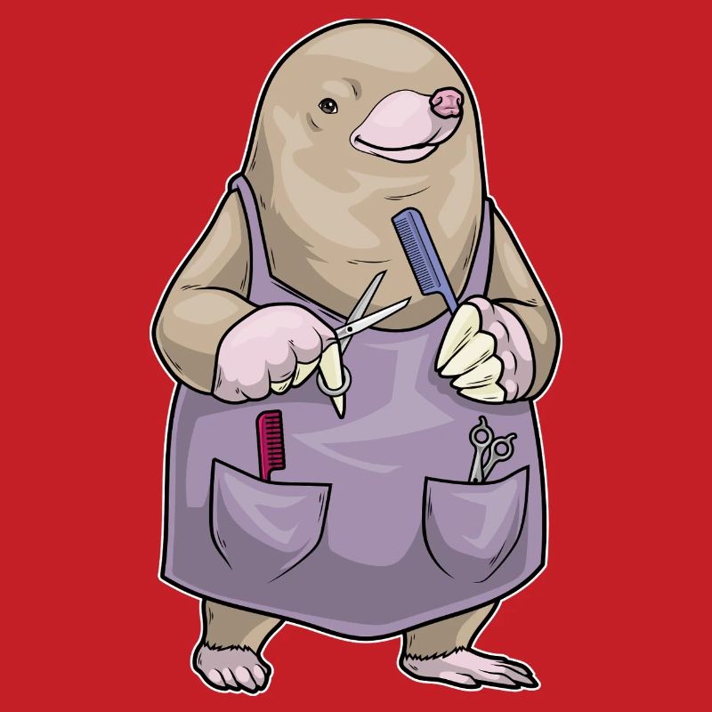 Peigne et ciseaux de coiffeur Mole