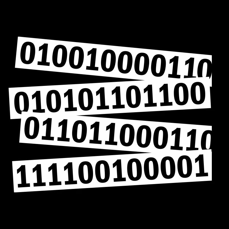 Binary Code Program Language