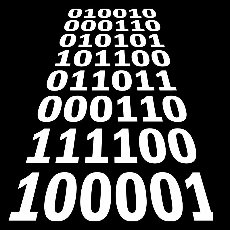 Binär Code Programm Sprache