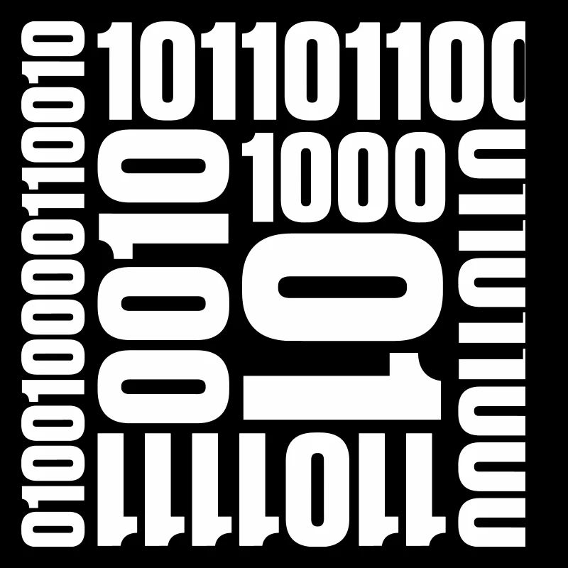 Binary Code Program Language