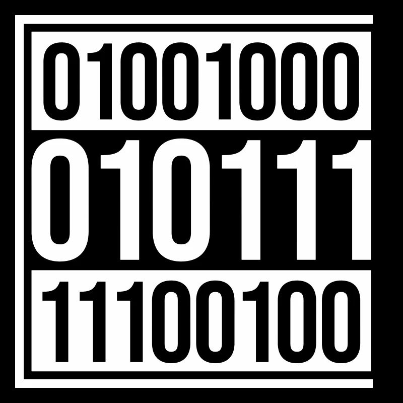 Binär Code Programm Sprache