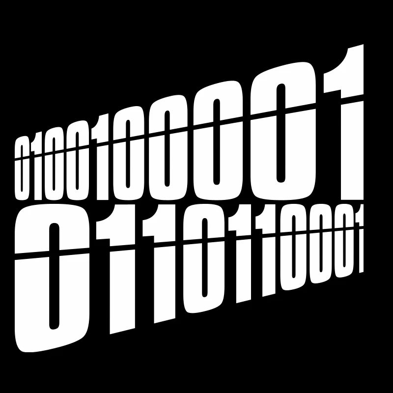 Binary Code Program Language