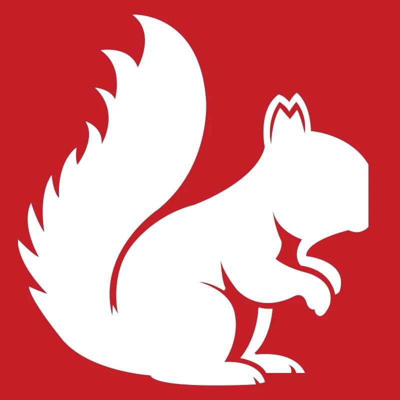 squirrel