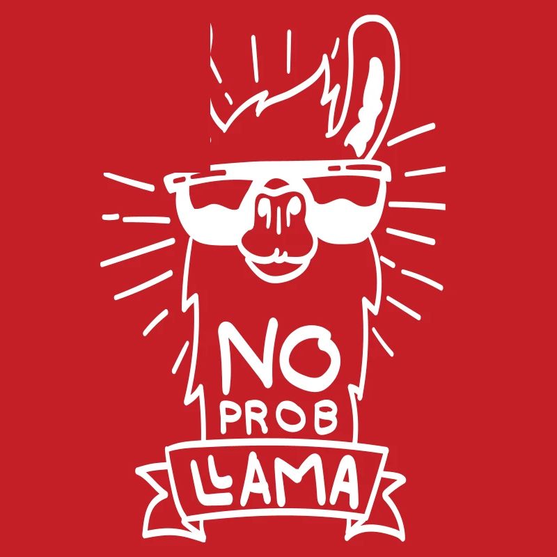 No ProbLlama - cool lama gift