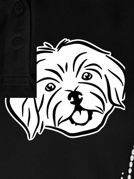 Havanese