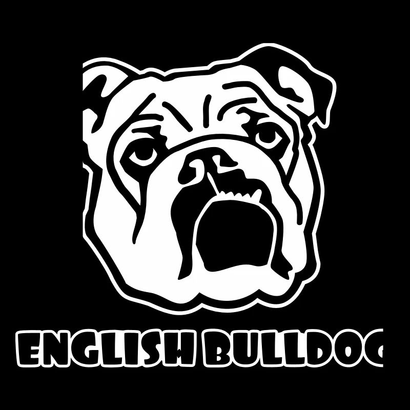 Anglais Bouledogue