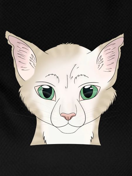 Cat white beige