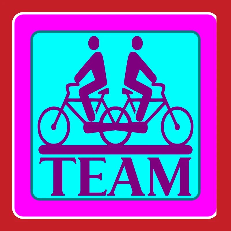 TEAM PROBLEMS - BICYCLE - STRATEGY