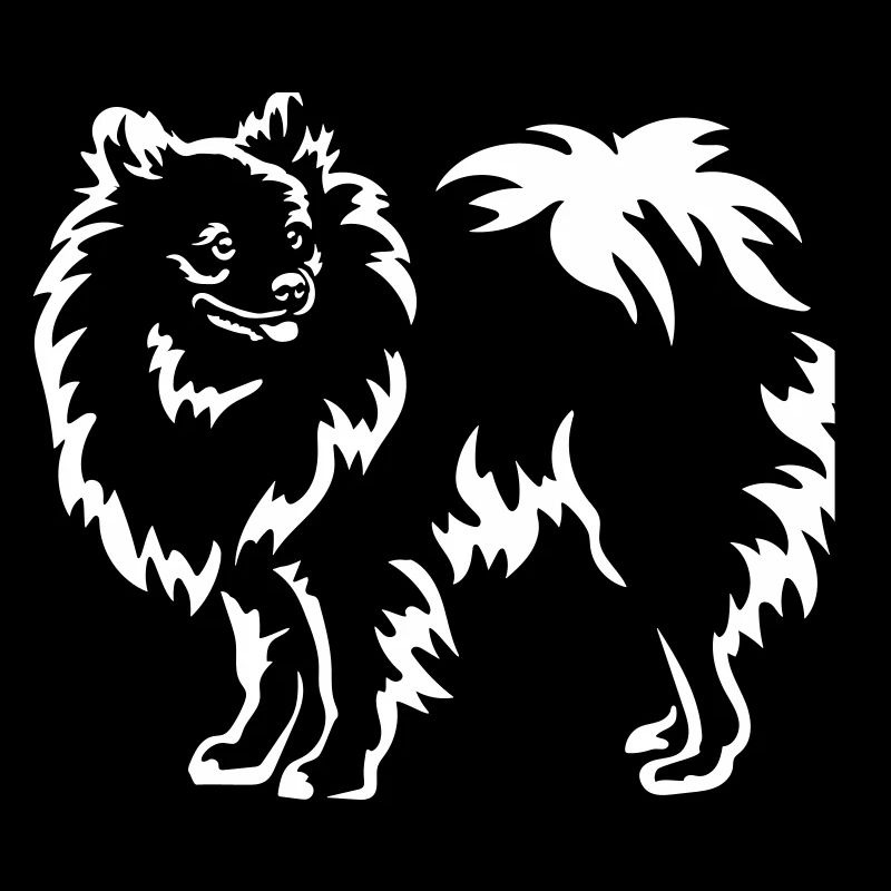 Spitz "Black Edition"