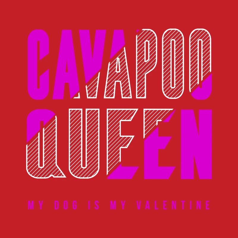 Cavapoo Queen