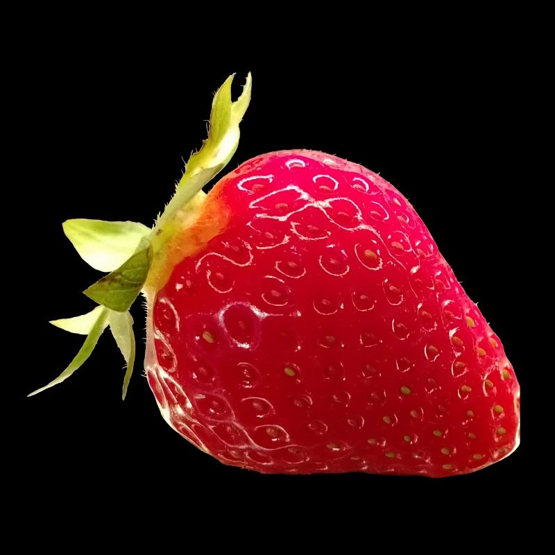 FRAISE