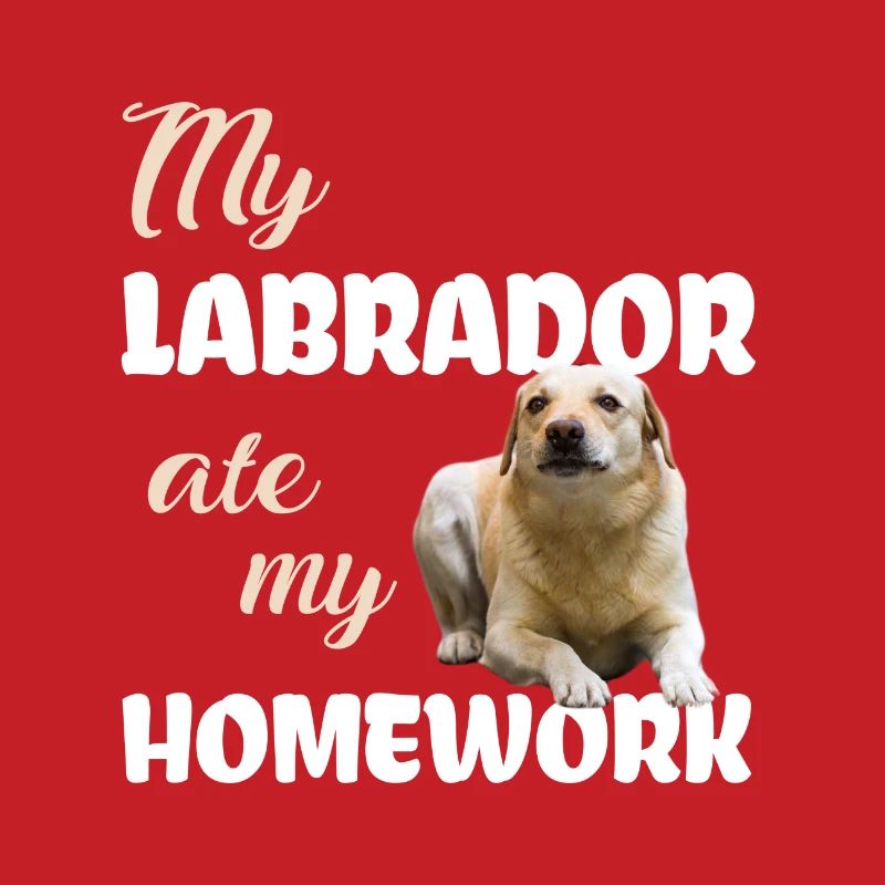 Devoirs du Labrador