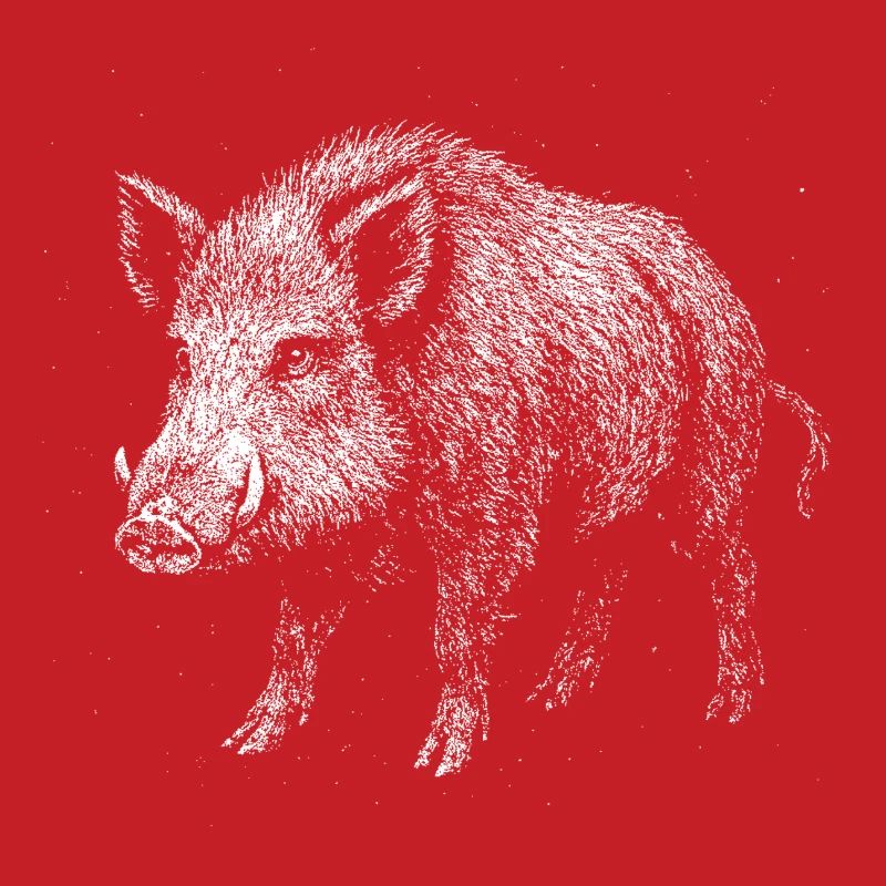 Wild boar