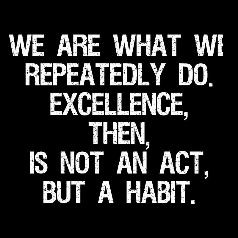 we are what we repeatedly do excellence then is