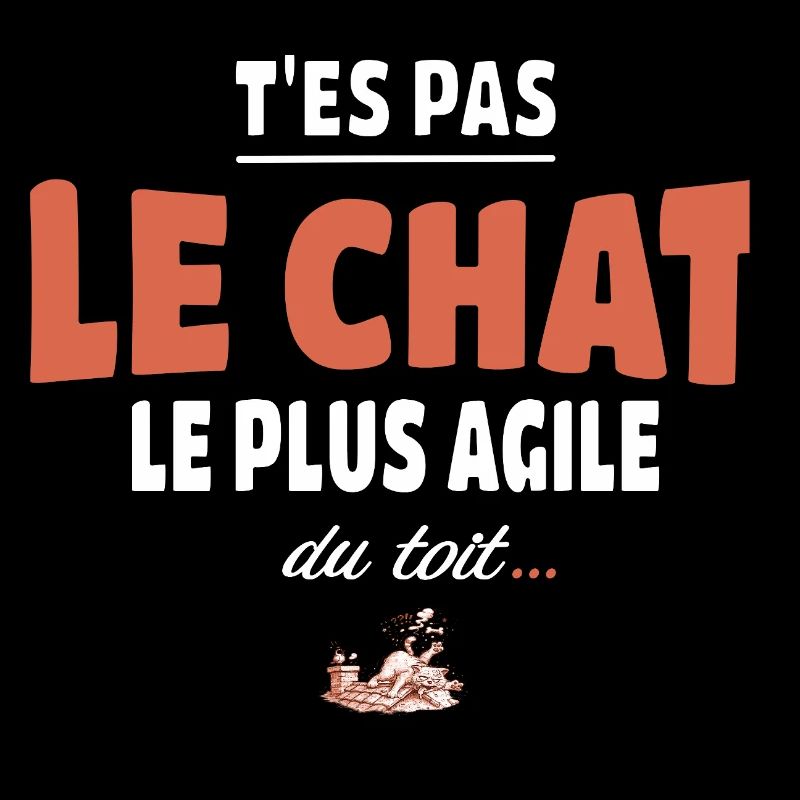 T’es pas le chat le plus agile du toit – Vanne