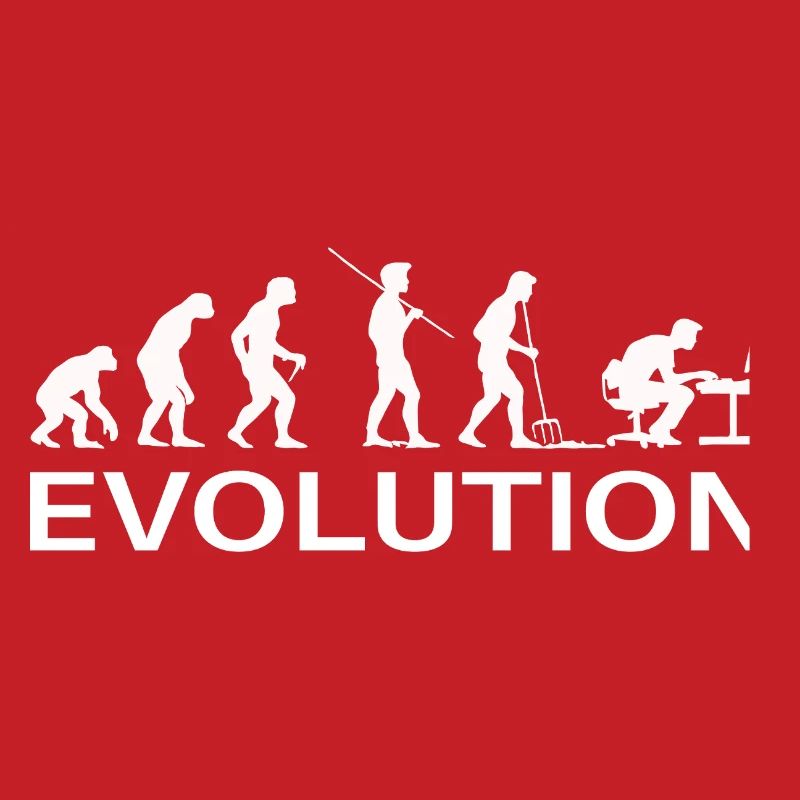 Programmeur Évolution Informaticien Développeur