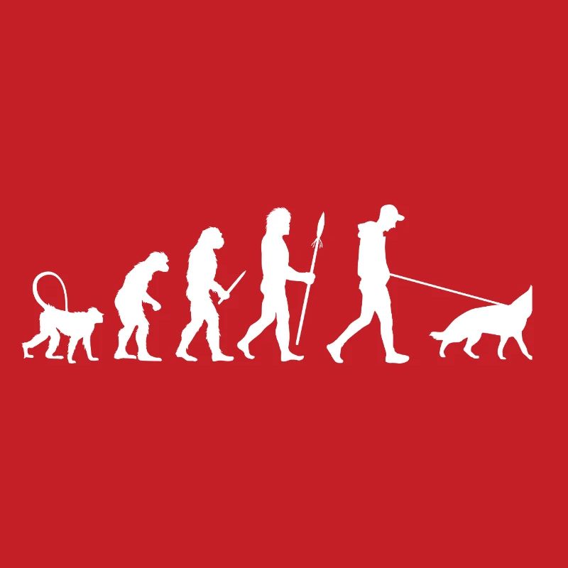 Évolution du berger allemand