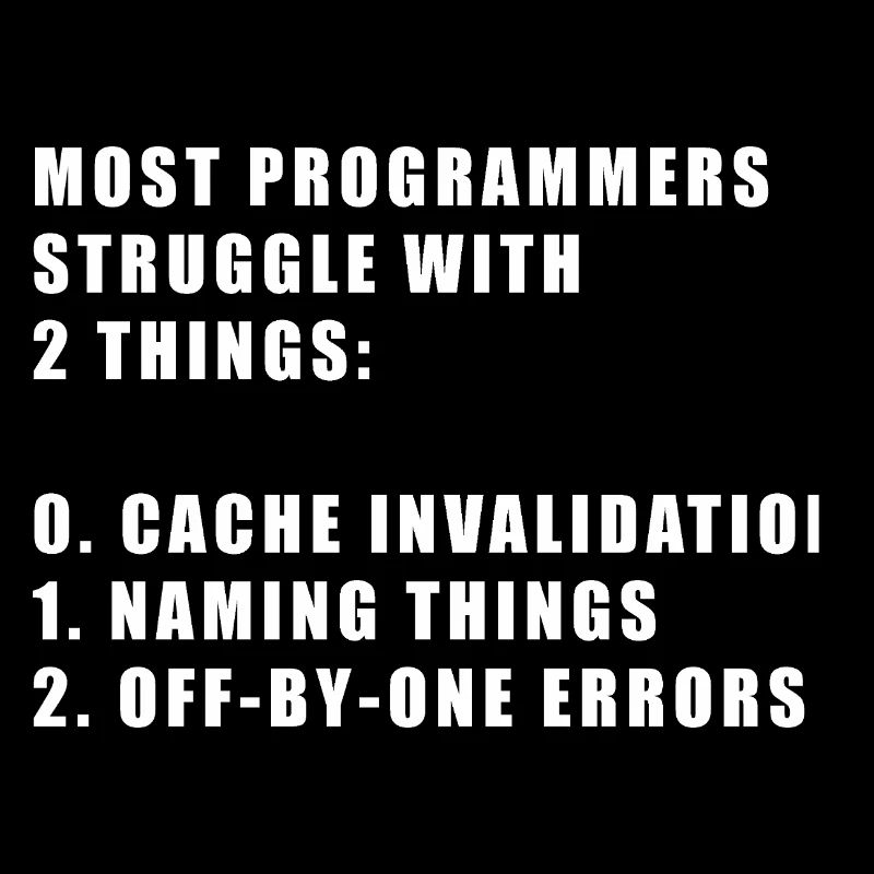 2 hard things in computer science programmer