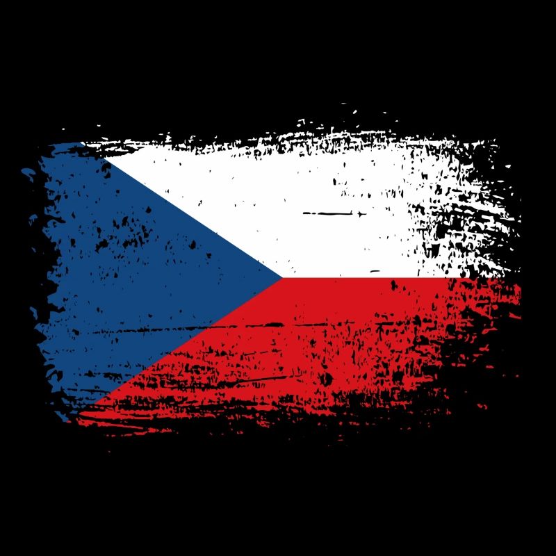 Czech Flag Brush Splash