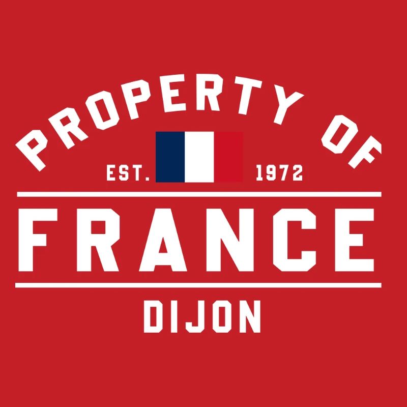 Drapeau français Graphique Logo de Dijon