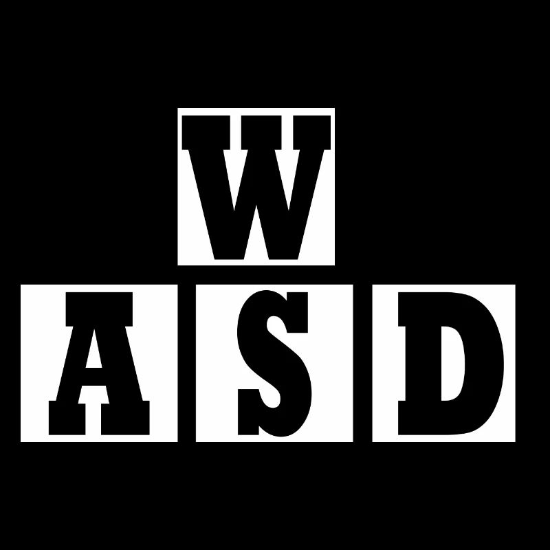W A S D