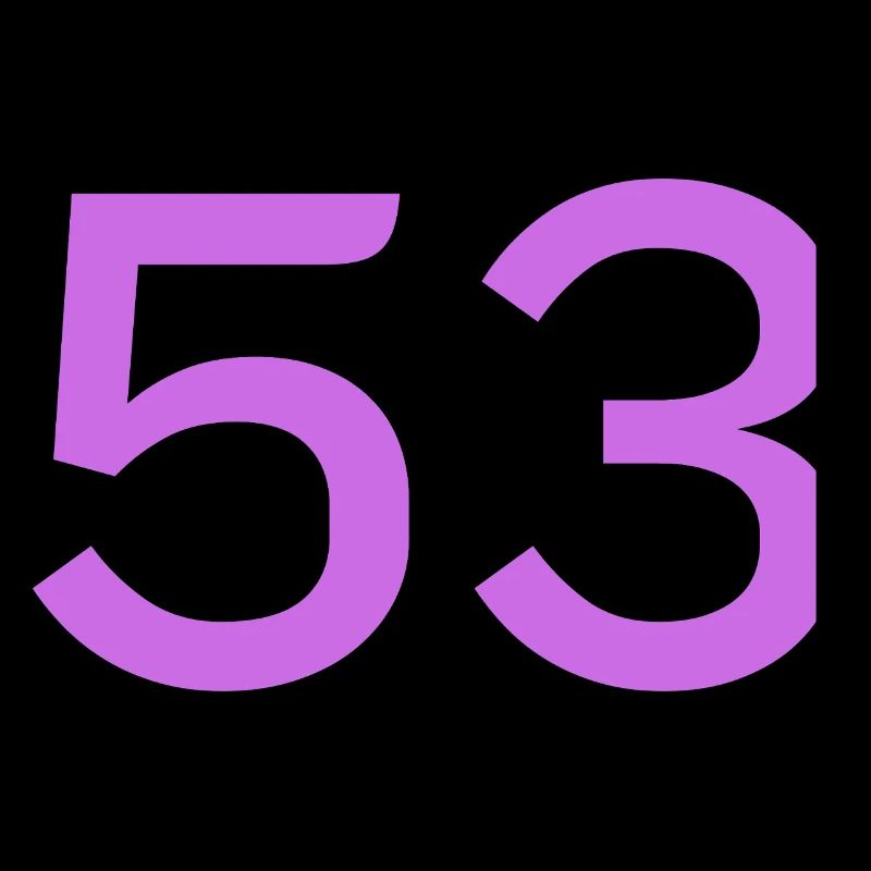 53