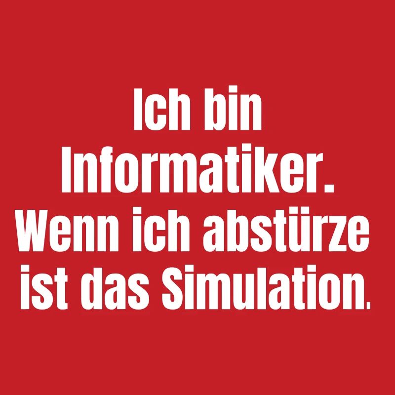 I'm a computer scientist – crash as a simulation