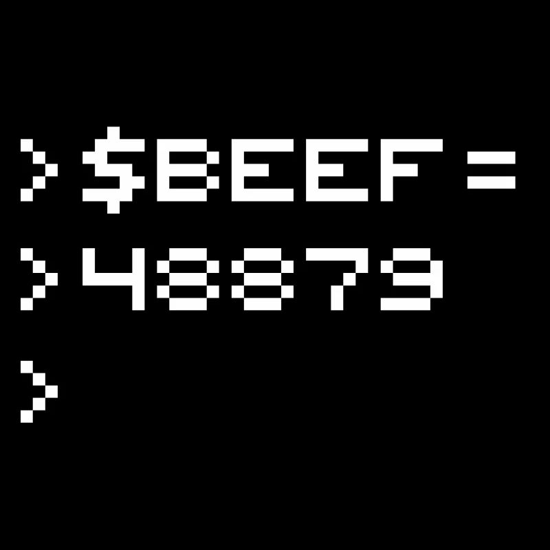 BEEF 8-bit Code Nerd Pixel Terminal Rétro