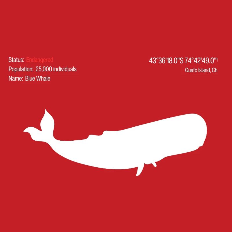 Whale